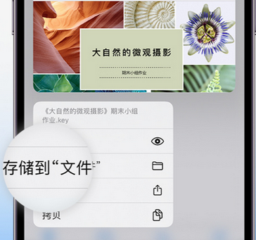 静安apple维修中心分享iPhone文件应用中存储和找到下载文件