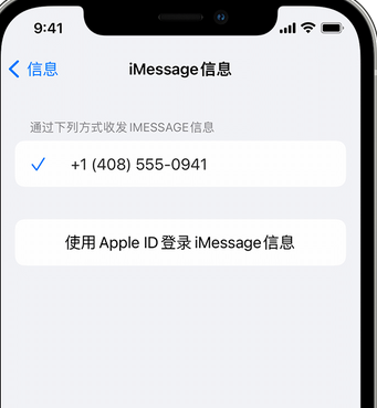 静安apple维修iPhone上无法正常发送iMessage信息 