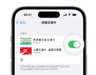 静安apple维修点分享iPhone上更换Apple Pay快捷交通卡手绘卡面 