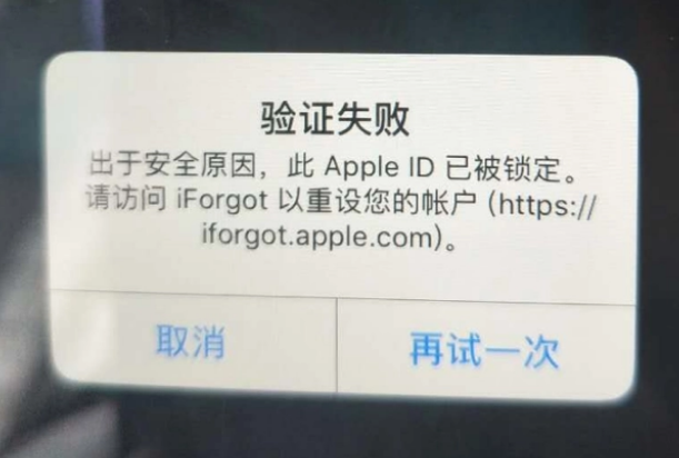 静安iPhone维修分享iPhone上正常登录或使用AppleID怎么办 