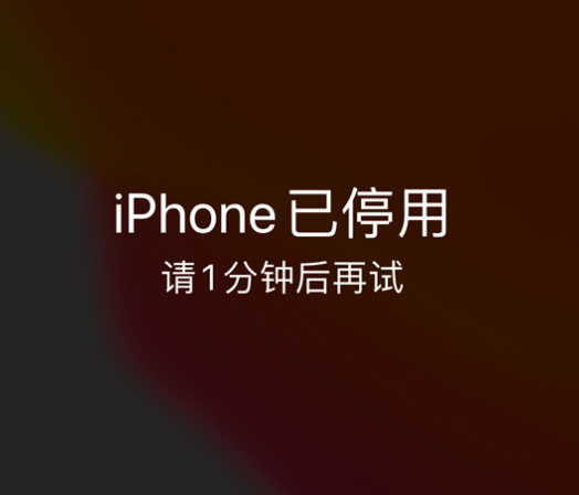 静安苹果手机维修分享:iPhone 显示“不可用”或“已停用”怎么办？还能保留数据吗？ 