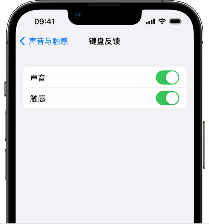 静安苹果14维修店分享如何在 iPhone 14 机型中使用触感键盘 