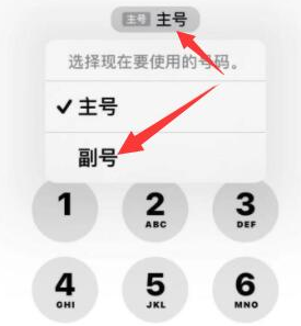 静安苹果14维修店分享iPhone 14 Pro Max使用副卡打电话的方法 