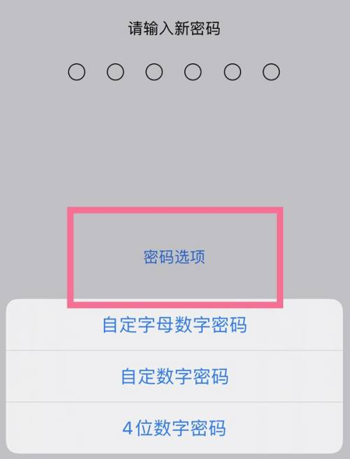 静安苹果14维修分享iPhone 14plus设置密码的方法 