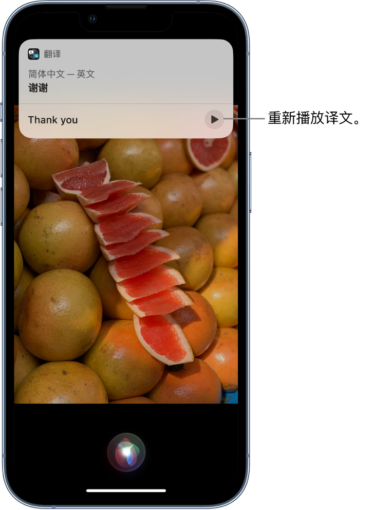 静安苹果14维修分享 iPhone 14 机型中使用 Siri：了解 Siri 能帮你做什么 