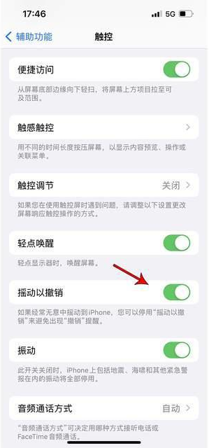 静安苹果手机维修分享iPhone手机如何设置摇一摇删除文字 