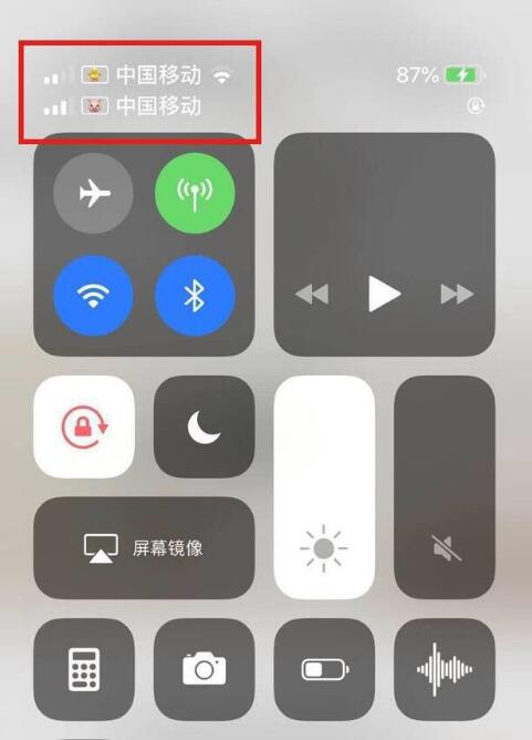 静安苹果手机维修分享为 iPhone 12 双卡设置标签 